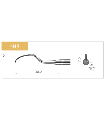 INSERT N°H3 PERIODONTIE (POUR SATELEC)