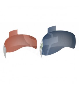 MATRICES COMPOSI-TIGHT 3D FUSION MOLAIRES 8,7MM AVEC EXTENSION CERVICALE (BLEUE