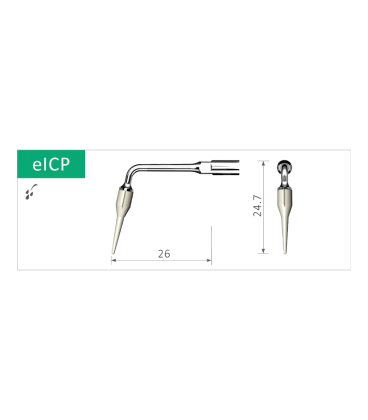 INSERT Nº EICP PROCLINIC (EMS)