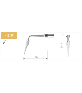 INSERT Nº SICP PROCLINIC (SATELEC)