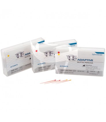 GUTTAPERCHA TF ADAPTIVE SM2-SM3 ASSORTIMENT