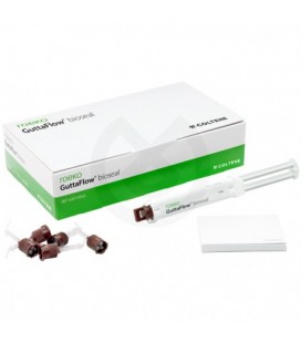 GuttaFlow Bioseal 85969