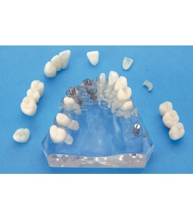 MODELE DEMONSTRATION TRANSPARENT