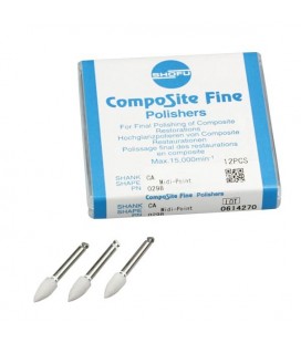 POLISSOIRS COMPOSITE MIDI POINT FINE CA