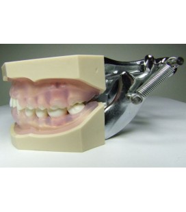 MODELE HYGIENISTE PERIODONTIE