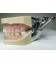 MODELE HYGIENISTE PERIODONTIE